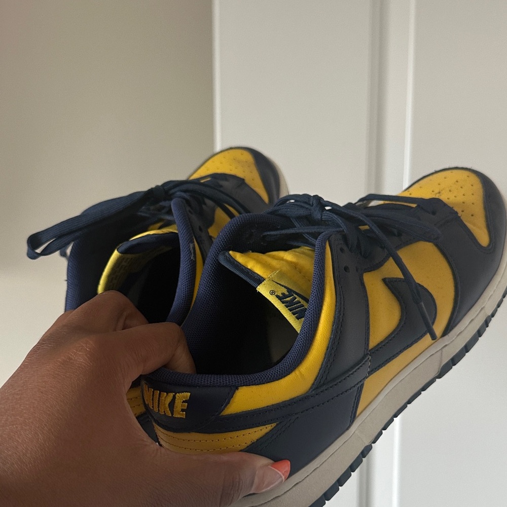 Nike Michigan dunks